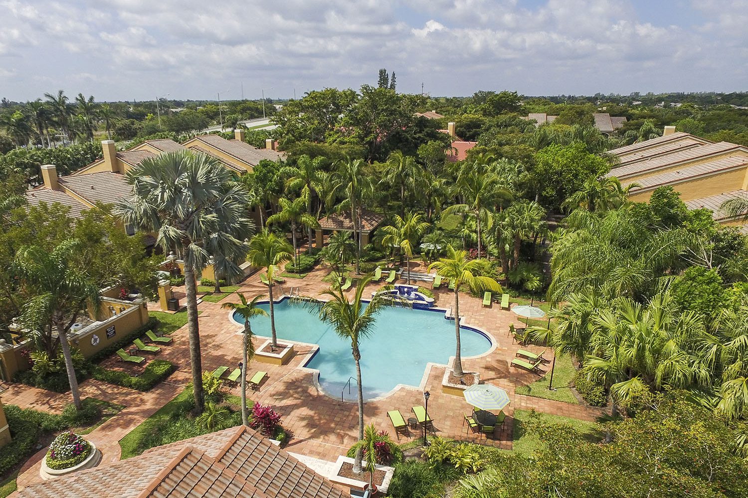 aerial view of the pool
