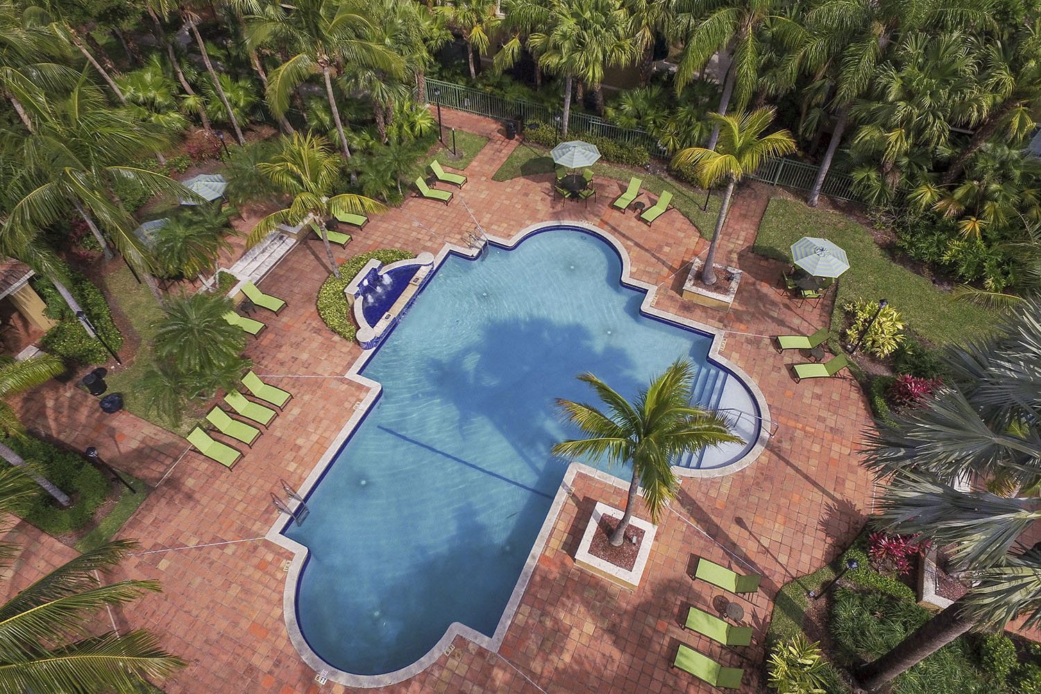 aerial view of the pool surrounded by palm trees