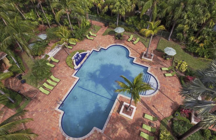aerial view of the pool surrounded by palm trees