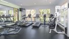 large fitness center with windows for a nice view 