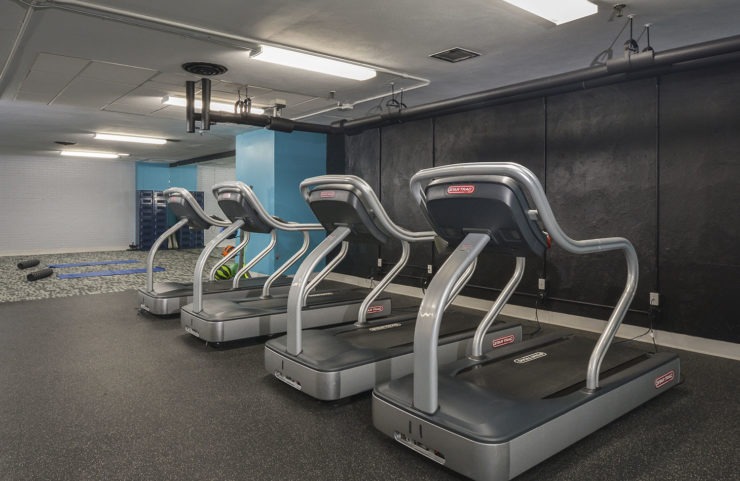 treadmills in the fitness center 