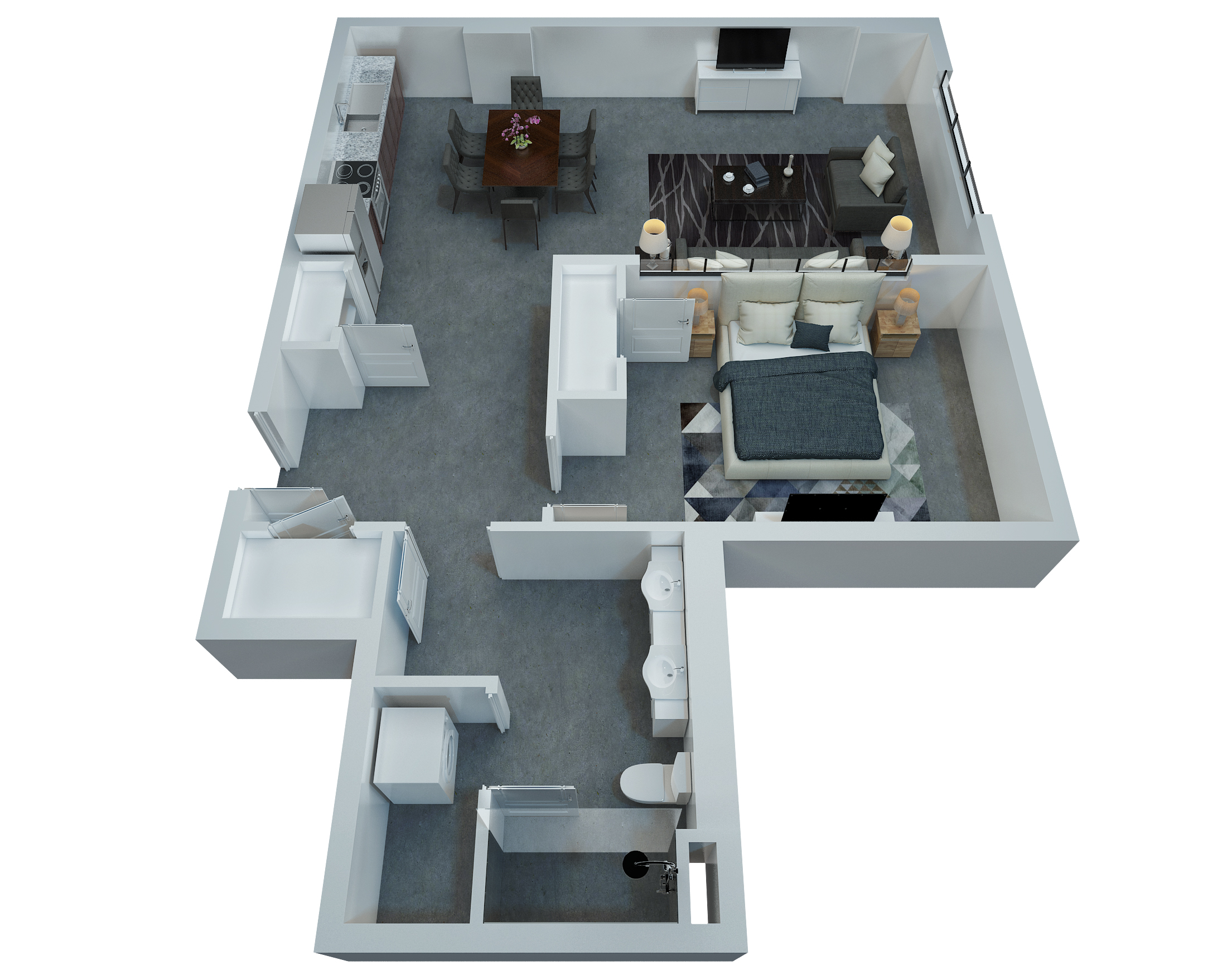 D4 - 1 Bedroom, 1 Bathroom