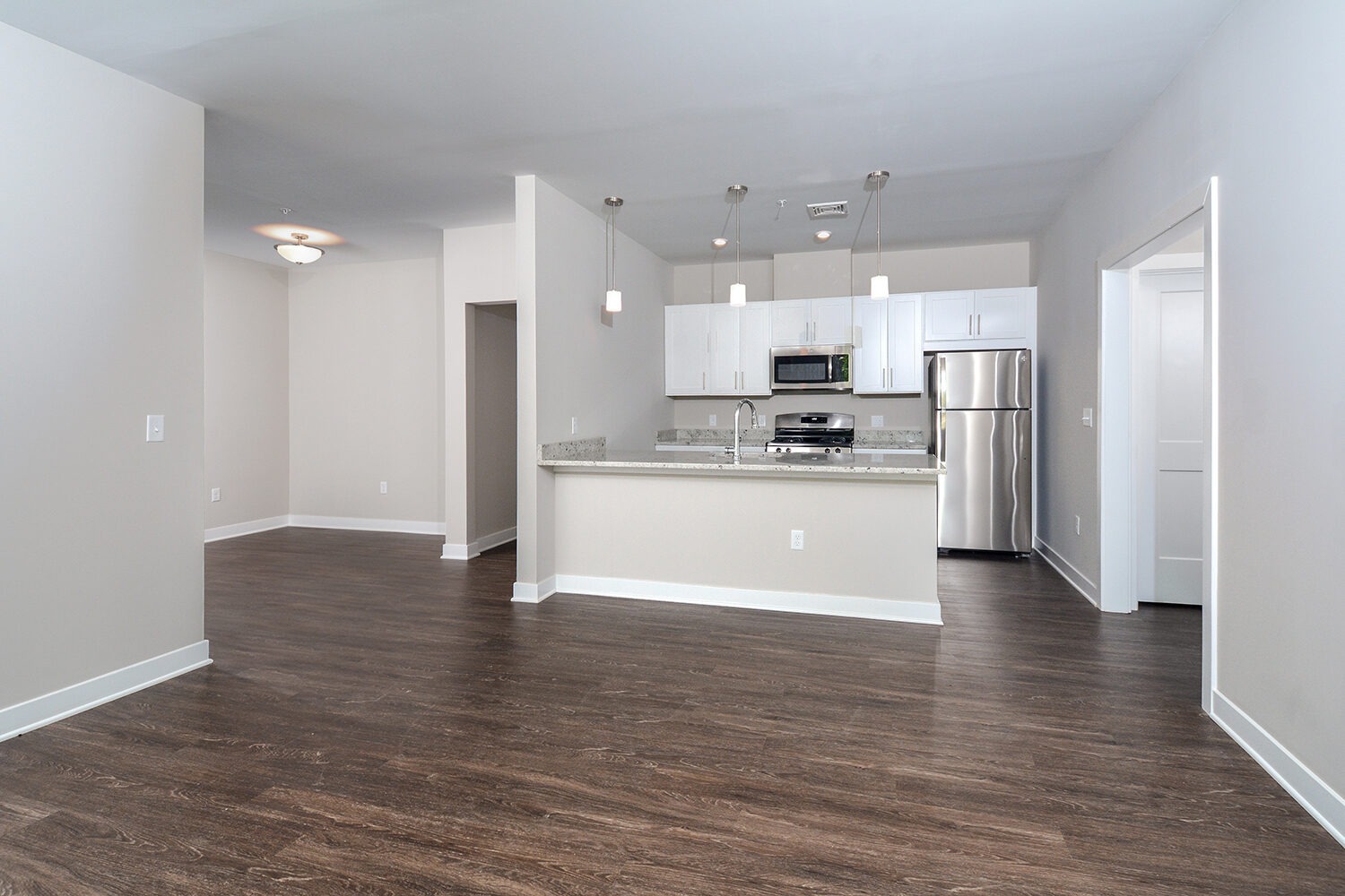 open floorplan with plank flooring