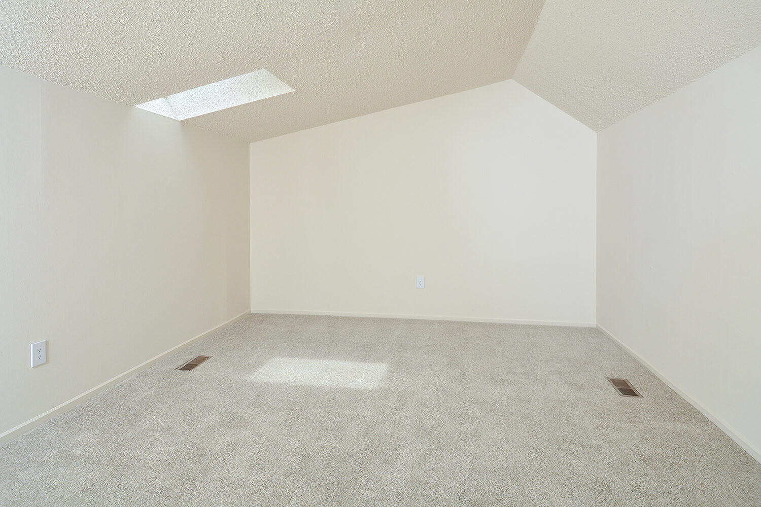 third floor carpeted loft with sky lights