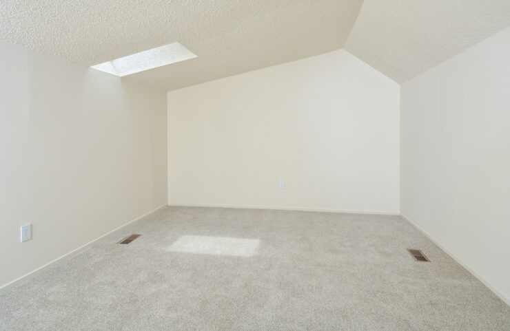 third floor carpeted loft with sky lights