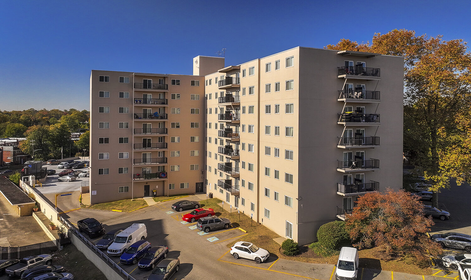 Shaped Bee Skep Hook Pillow main image 0