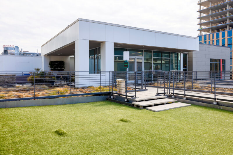 Rooftop Dog Park