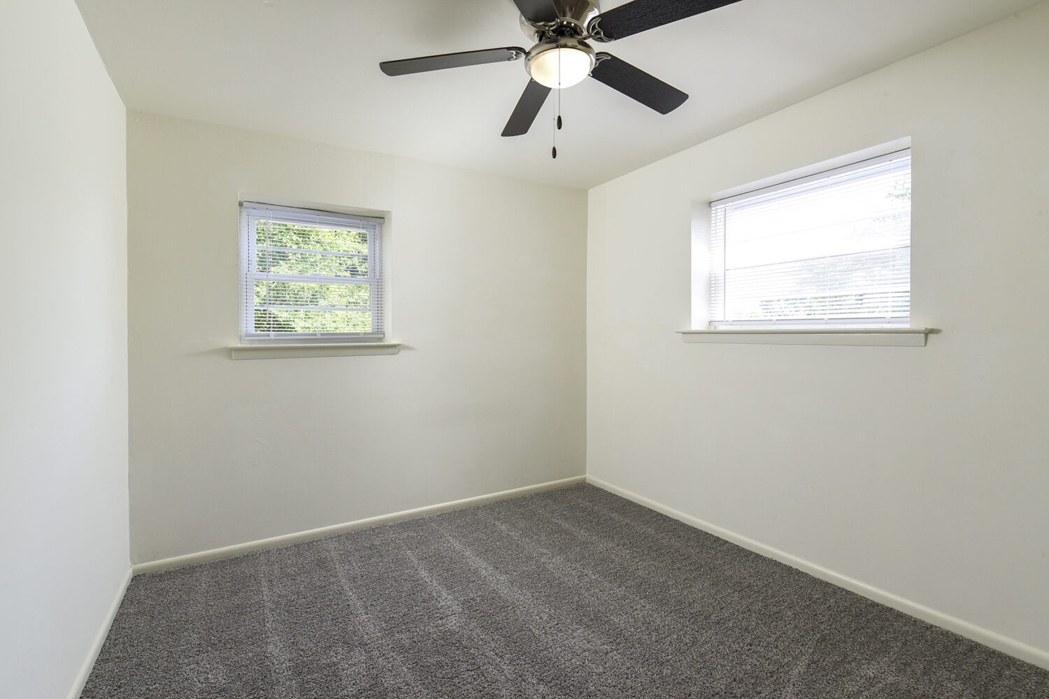 Bedroom with Windows