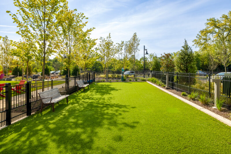 Dog park