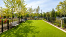 2 bed apartment home in northern liberteis