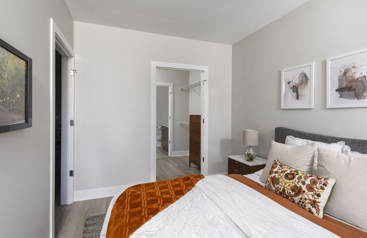 Bedroom With Walk-in Closet