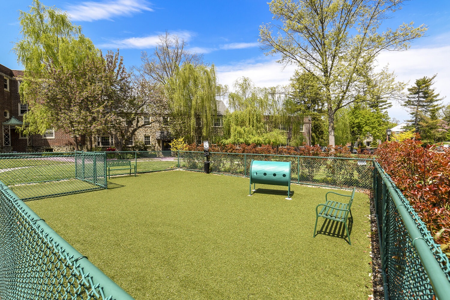 dog park