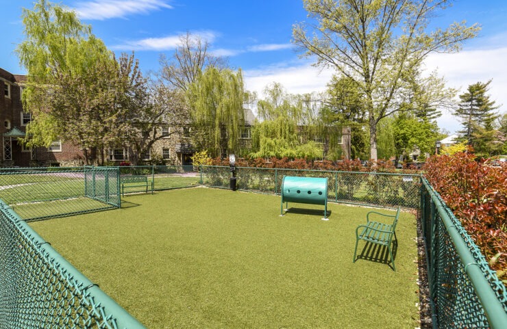 dog park