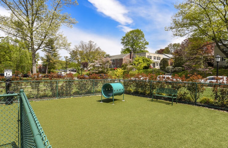 dog park at The Wynnewood