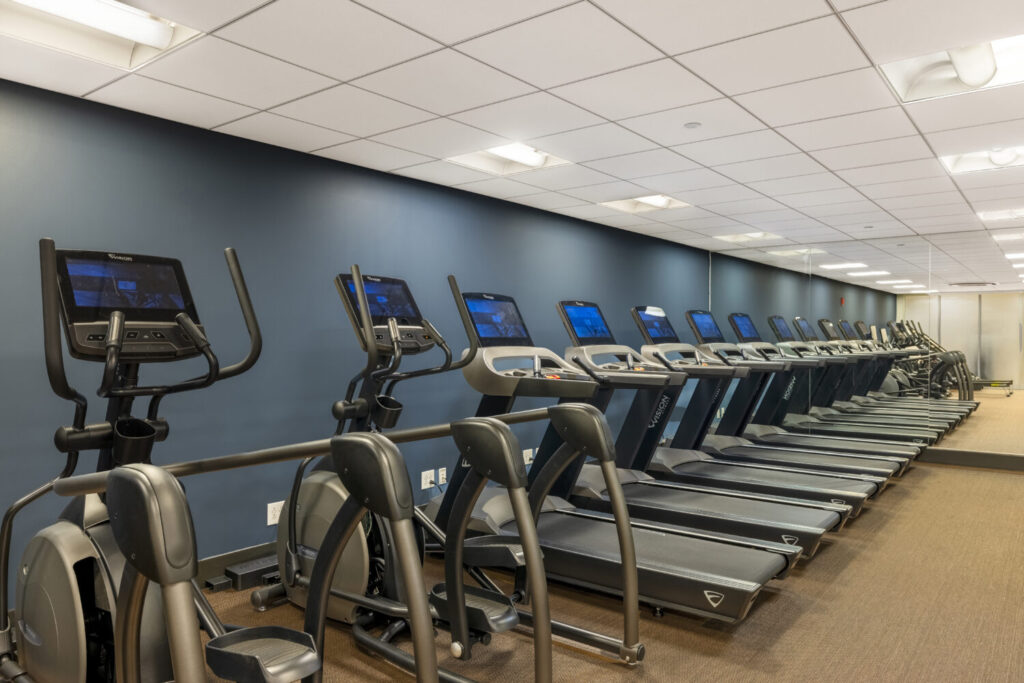 A line of treadmills and ellipticals inside a fitness center
