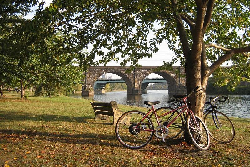 Two bicycles propped up against a tree along the Schuylkill River. Two bridges in the distance.