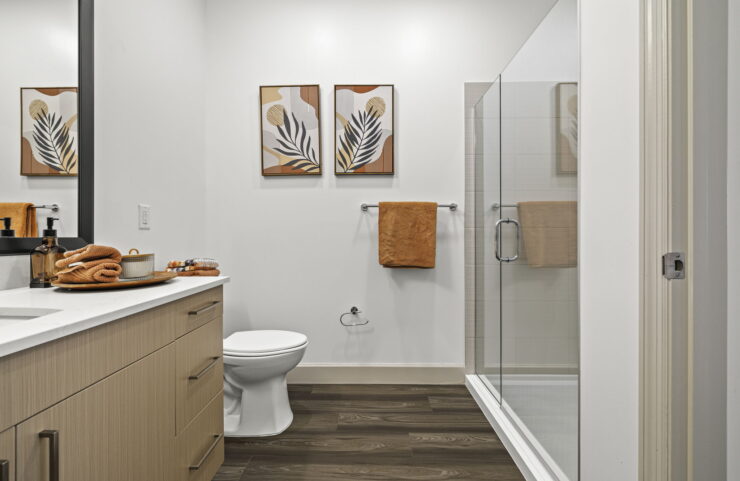 new haven apts close to it all