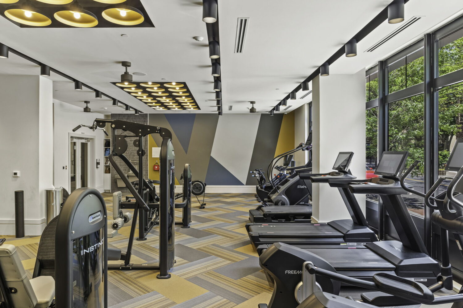 dog friendly new haven apartments