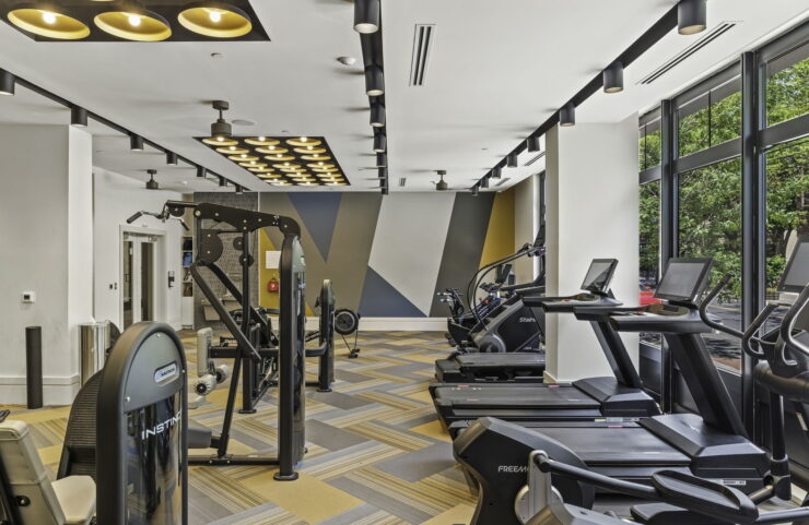 dog friendly new haven apartments