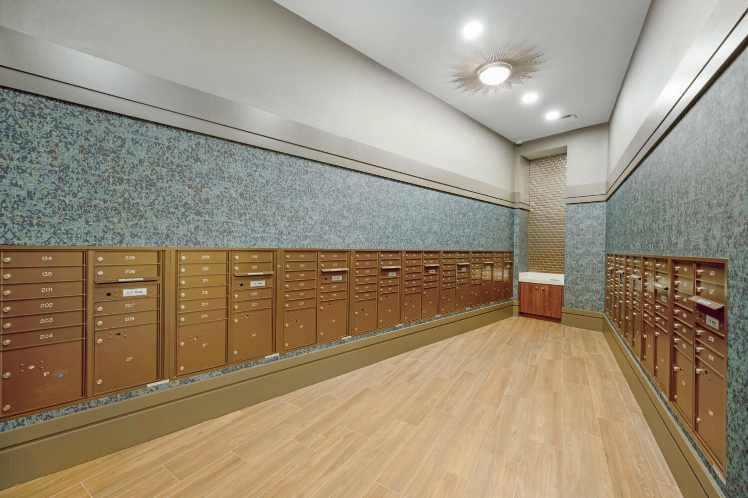 downtown new haven ct apartments