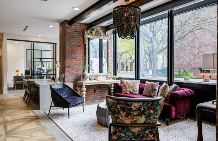 cat friendly new haven apartments