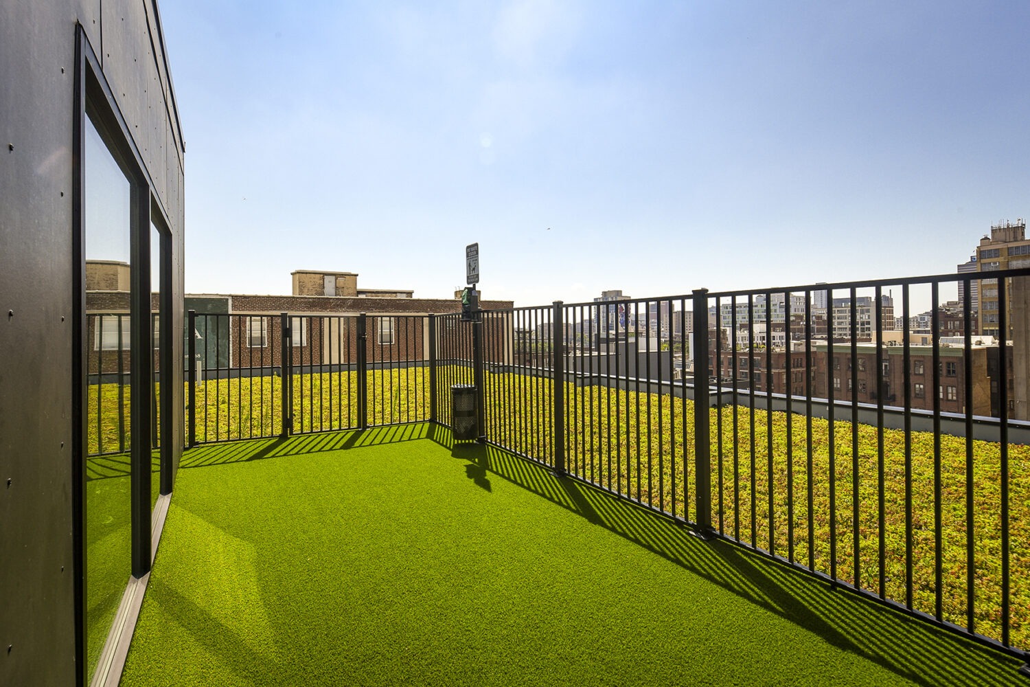 Green space for dogs to run in