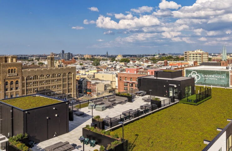 rooftop green space