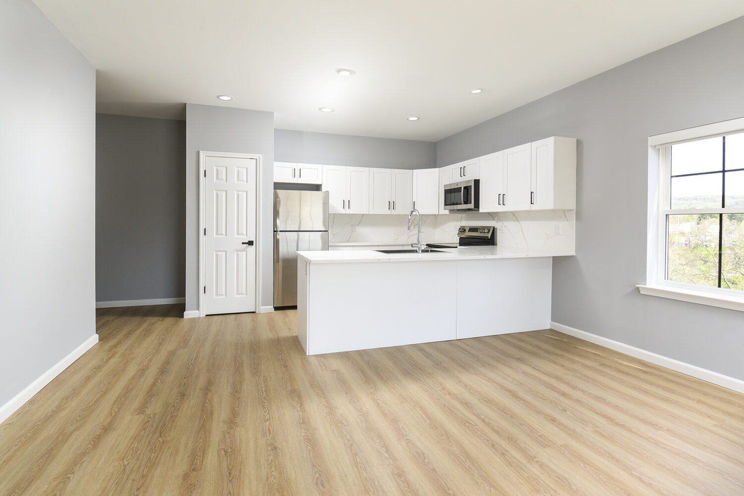 Kitchen and Living Room