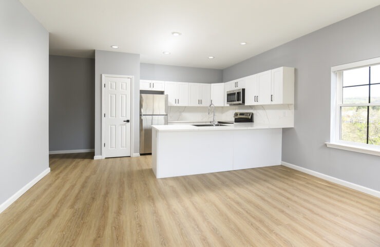 Kitchen and Living Room