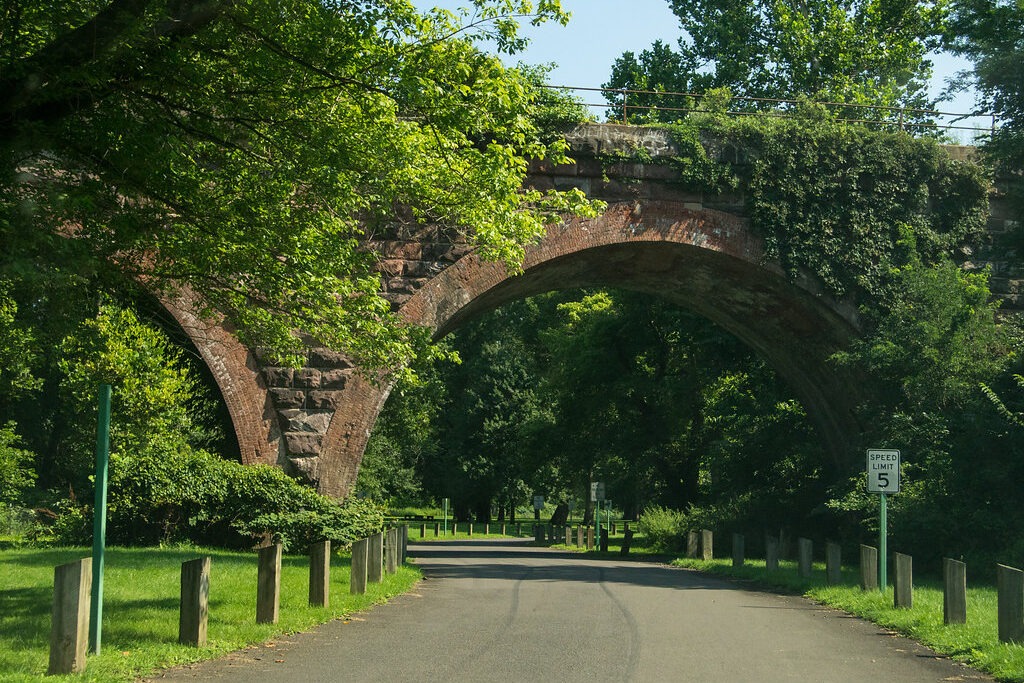 Bridge over a walking path surrounded by trees