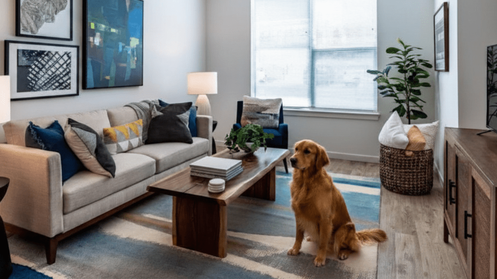 cute dog sitting on the ground in an apartment at Terrain on the Parkway in Allentown, PA
