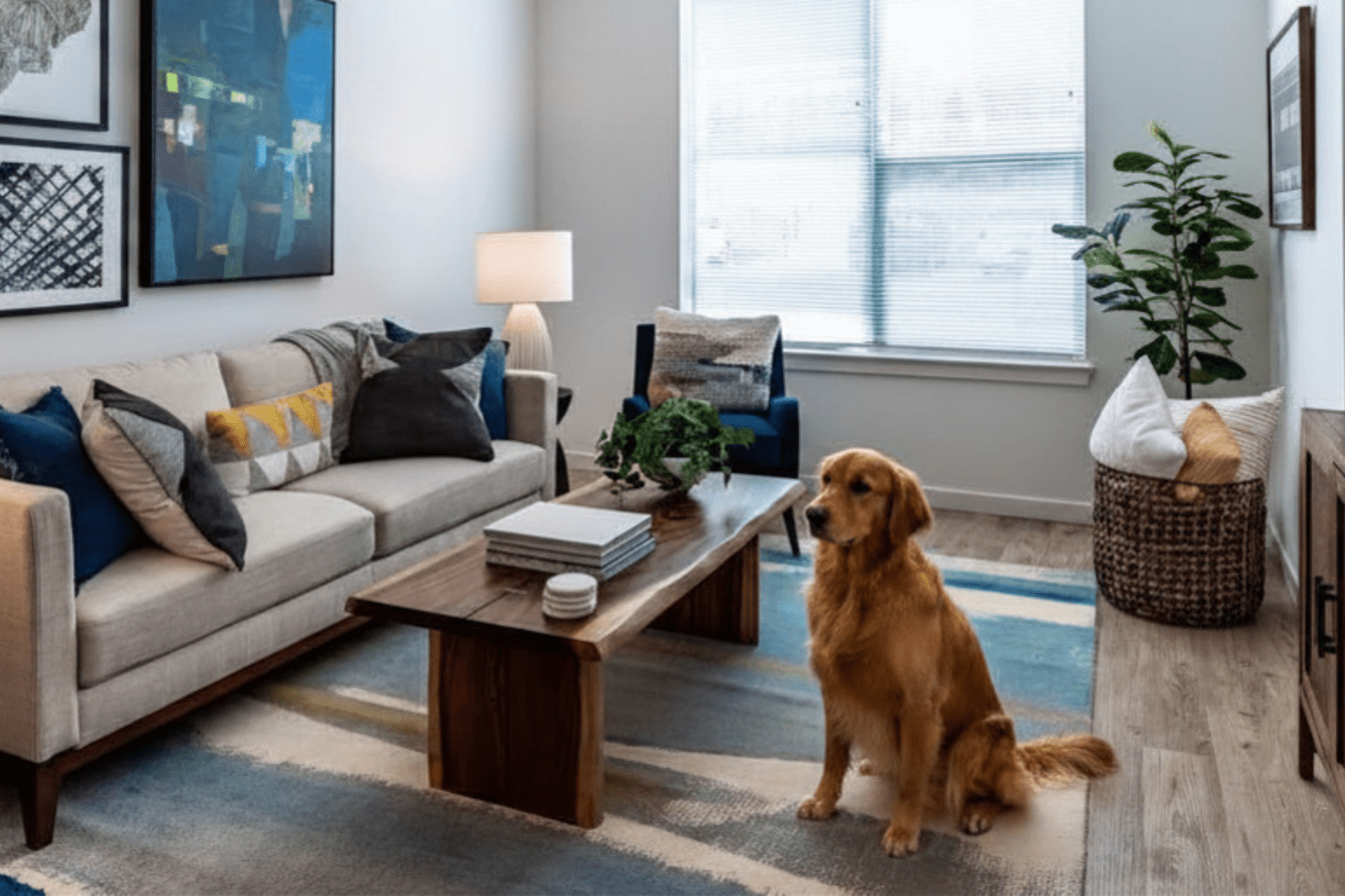 cute dog sitting on the ground in an apartment at Terrain on the Parkway in Allentown, PA