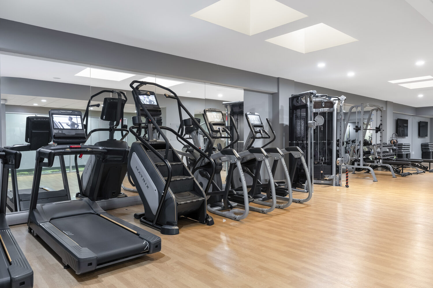 treadmills and ellipticals in the fitness center 