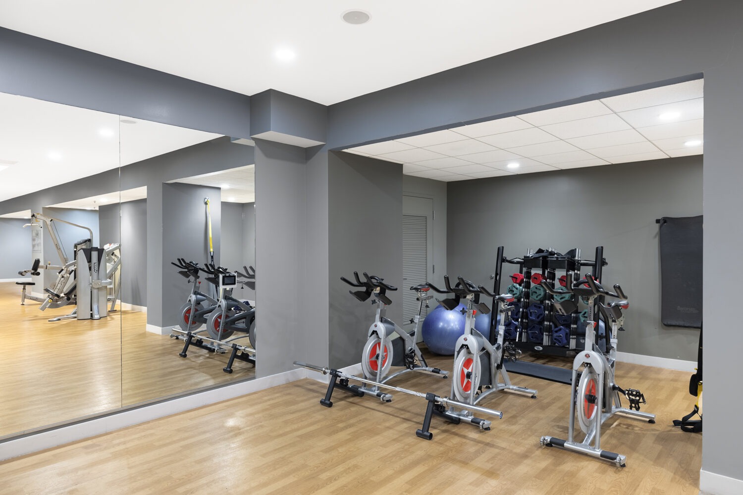 spin bikes in fitness center 